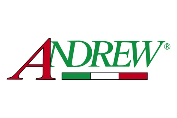 Andrew shoes