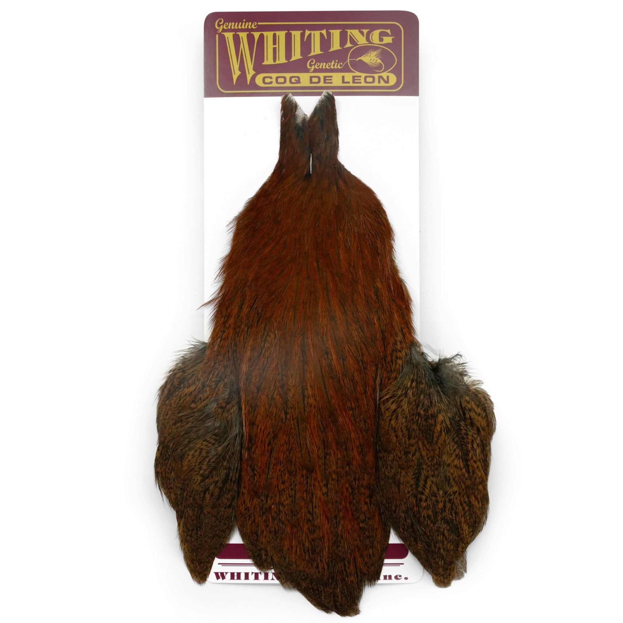 WHITING Coq de Leon Hen Cape – slepačí skalp pre viazanie mušiek