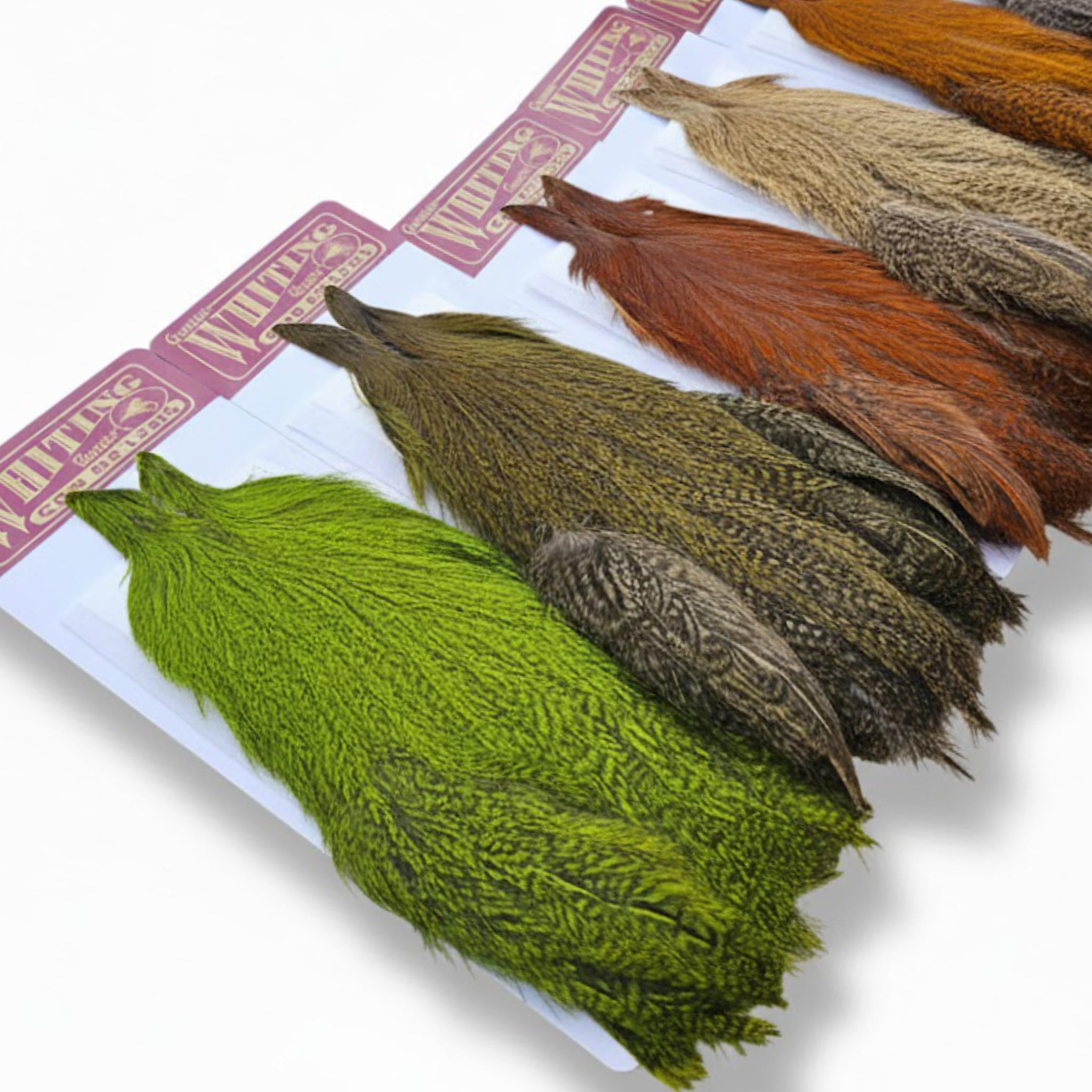 WHITING Coq de Leon Hen Cape – slepačí skalp pre viazanie mušiek