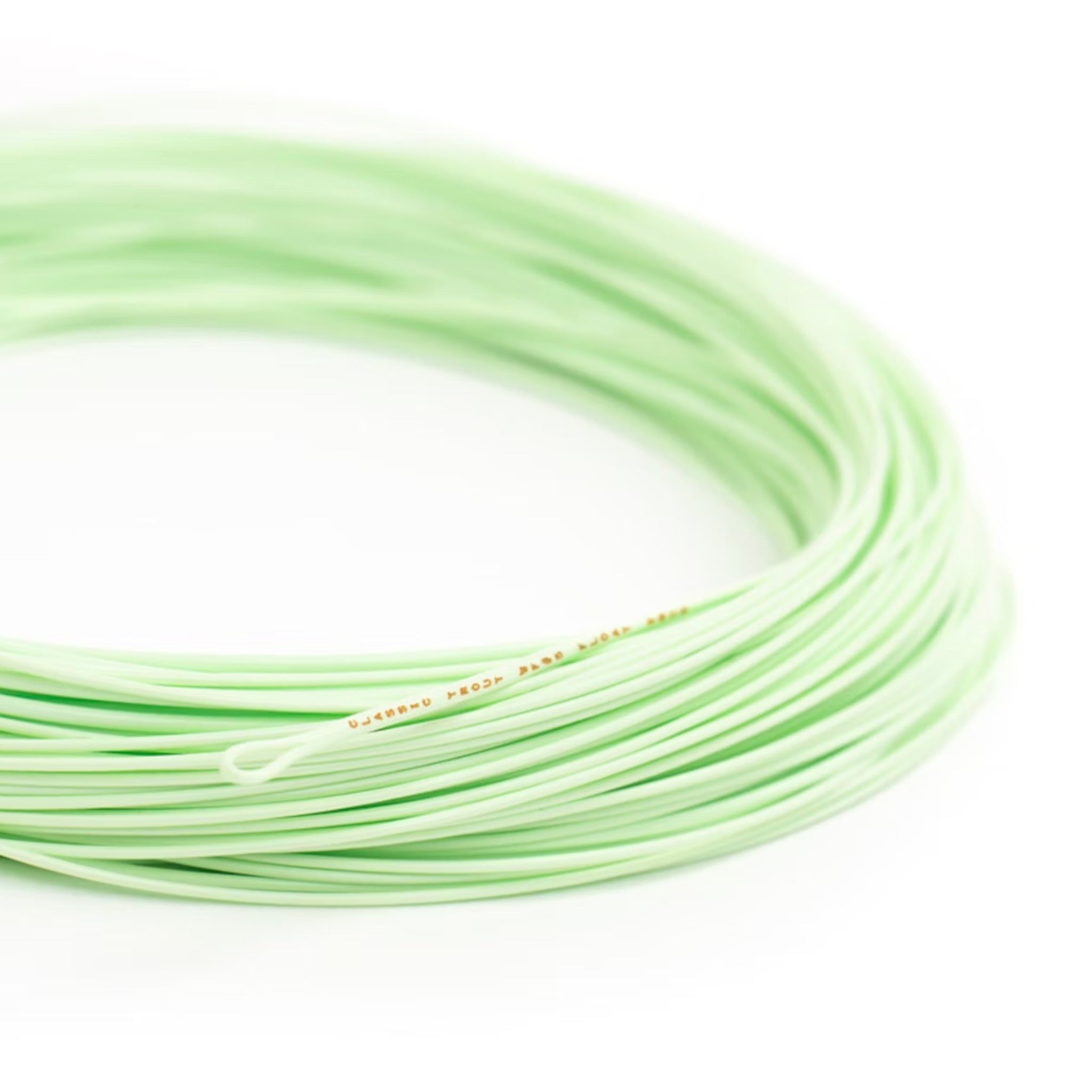 Guideline Classic Trout WF floating fly line – close-up of coil