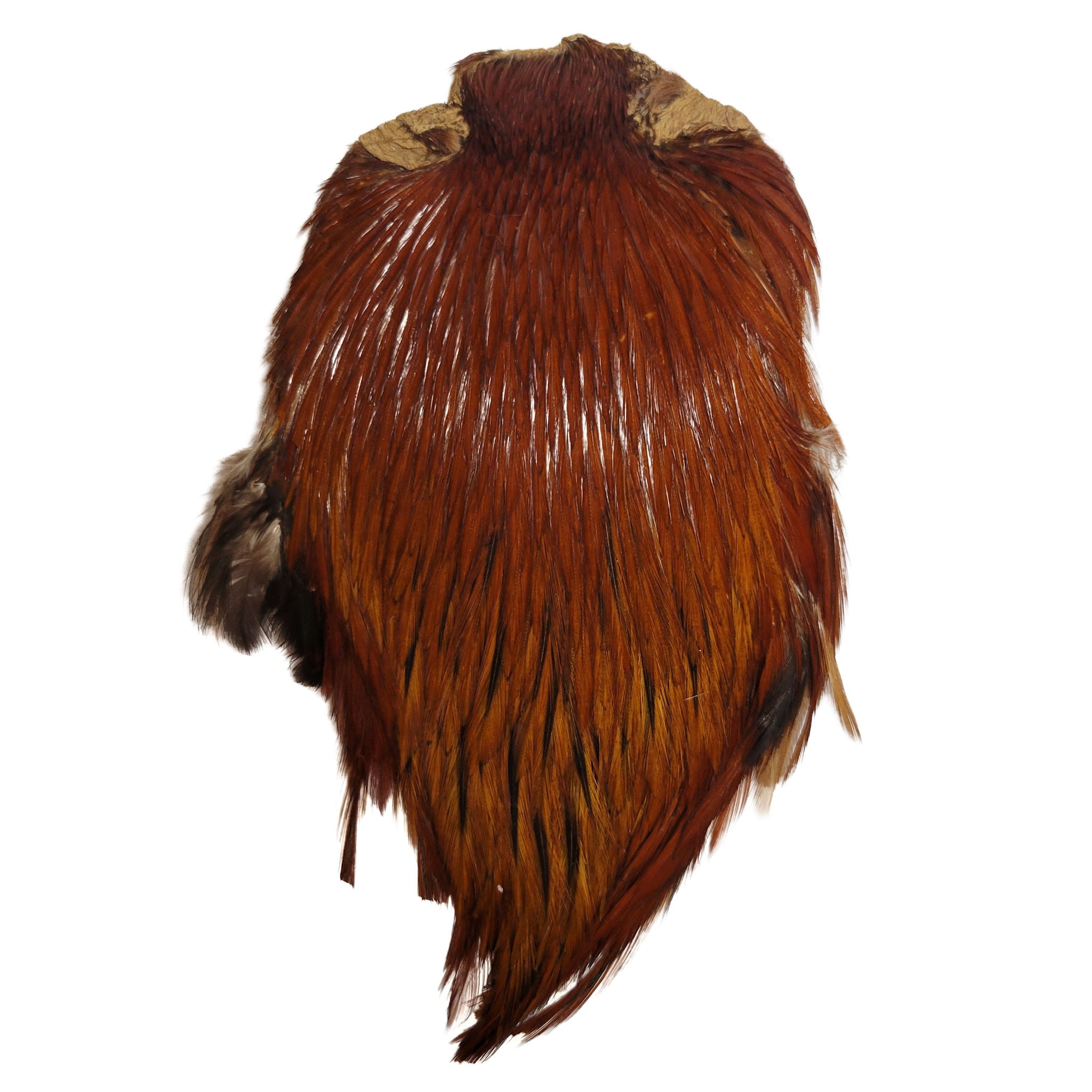 Hends cock cape Dark Rust – prírodný kohútí skalp na viazanie suchých mušiek a hackle