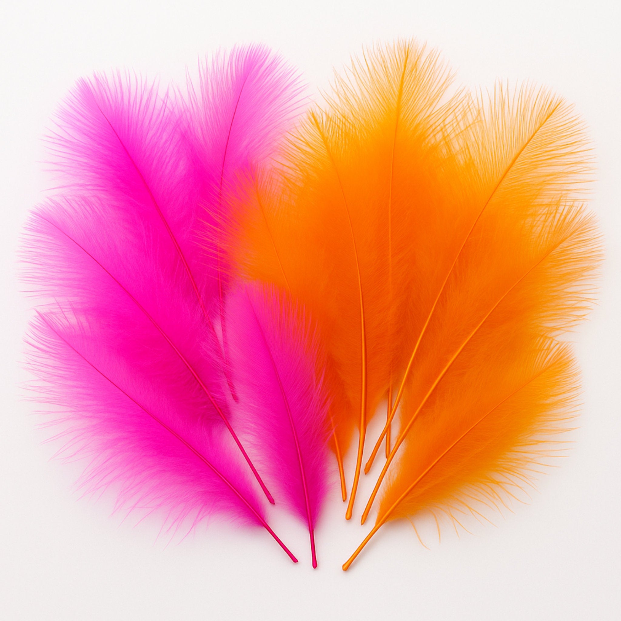 Knapek CDC perie – ručne triedené pierka v odtieňoch pink a orange pre viazanie suchých mušiek