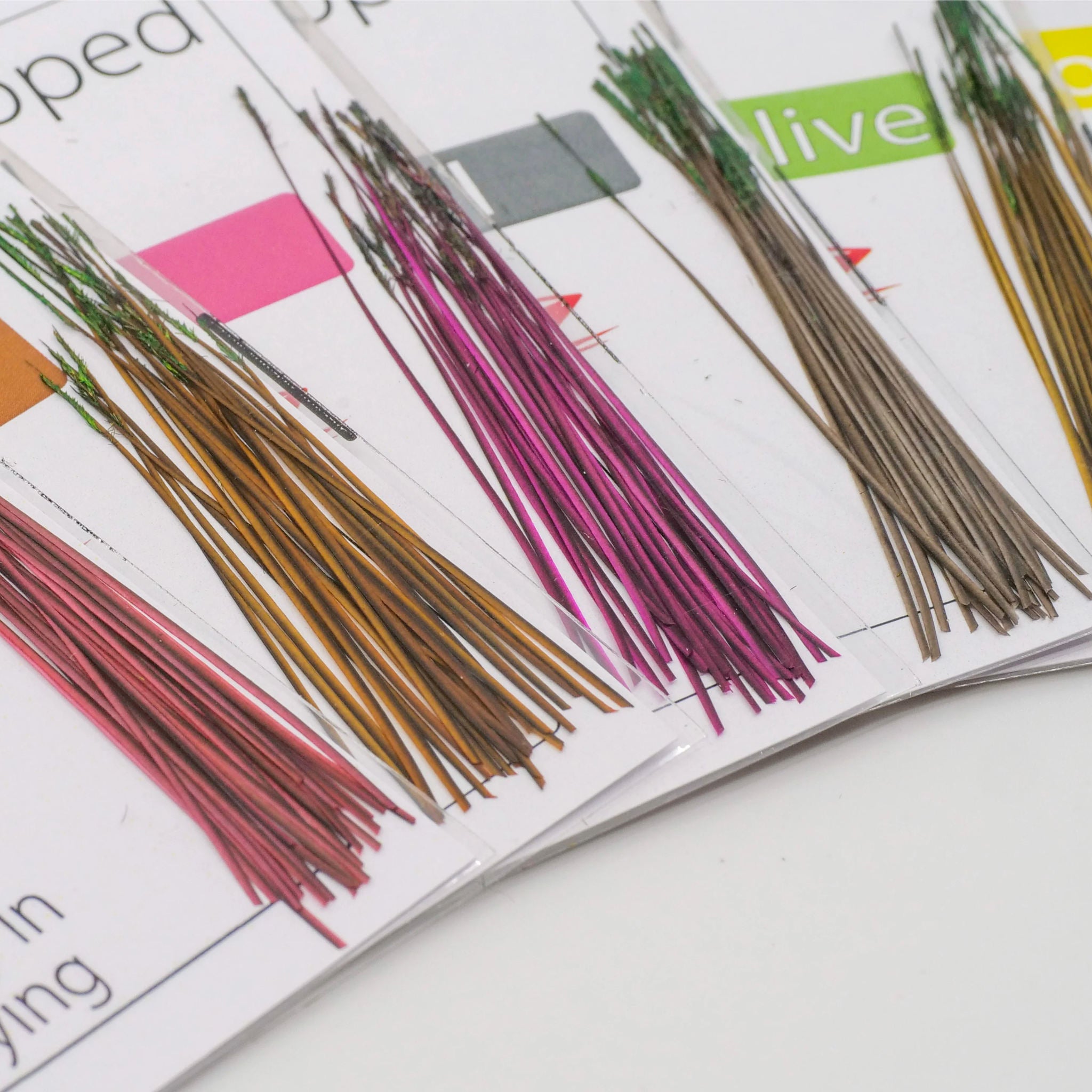 POLISH QUILLS – Ručne odierané pávie brčká pre viazanie realistických telíčok mušiek