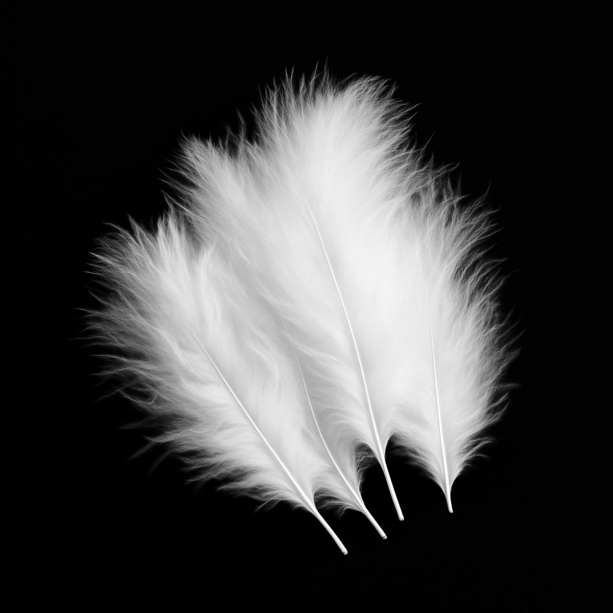 Marabou – Short – moriakové pierka na viazanie mušiek