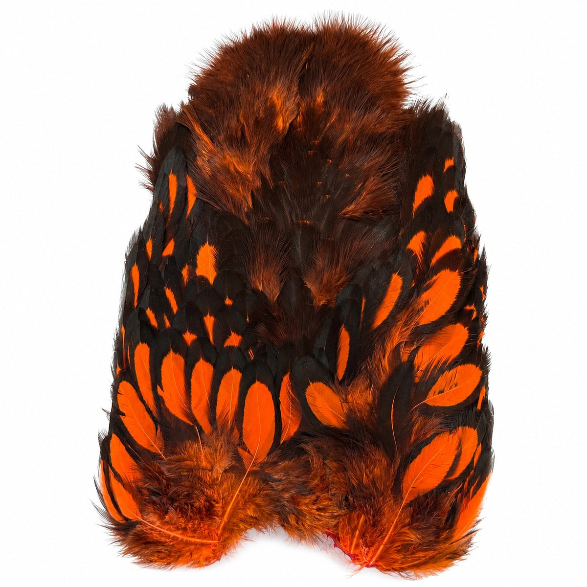 Whiting Farms American Hen Soft Hackle with Chickabou – BLW Dyed Orange