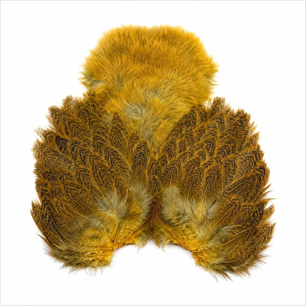 Whiting Farms Brahma Hen Soft Hackle with Chickabou – Golden Straw