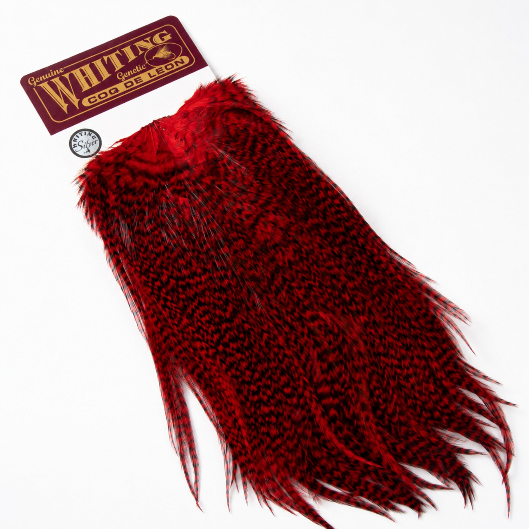 Whiting Farms Coq de Leon Silver Saddle Grizzly Dyed Red feathers