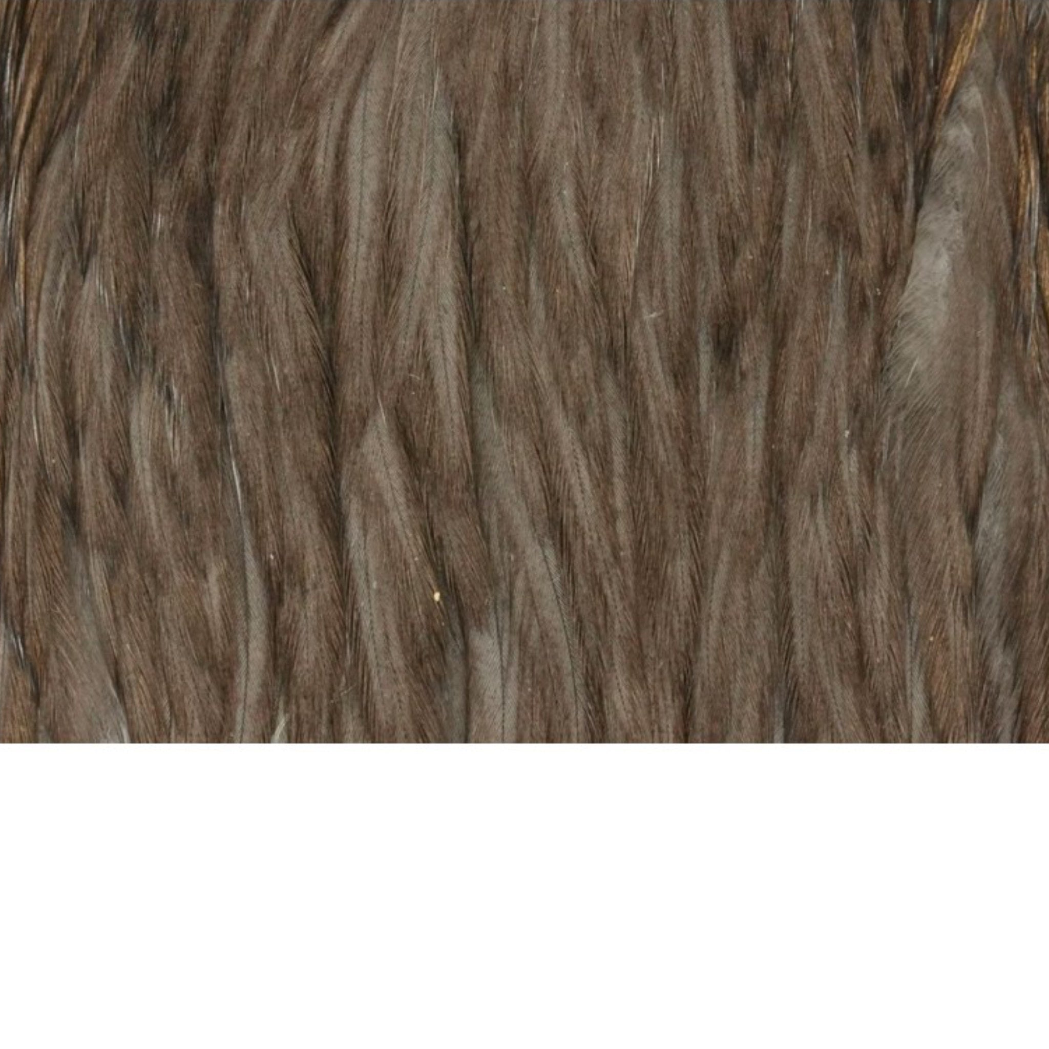 WHITING Hebert Hen Cape – slepačí skalp pre viazanie mušiek