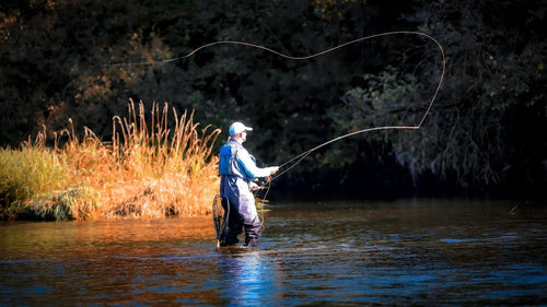 How to Choose a Fly Line for Lake Fishing | Floating vs Intermediate vs ...