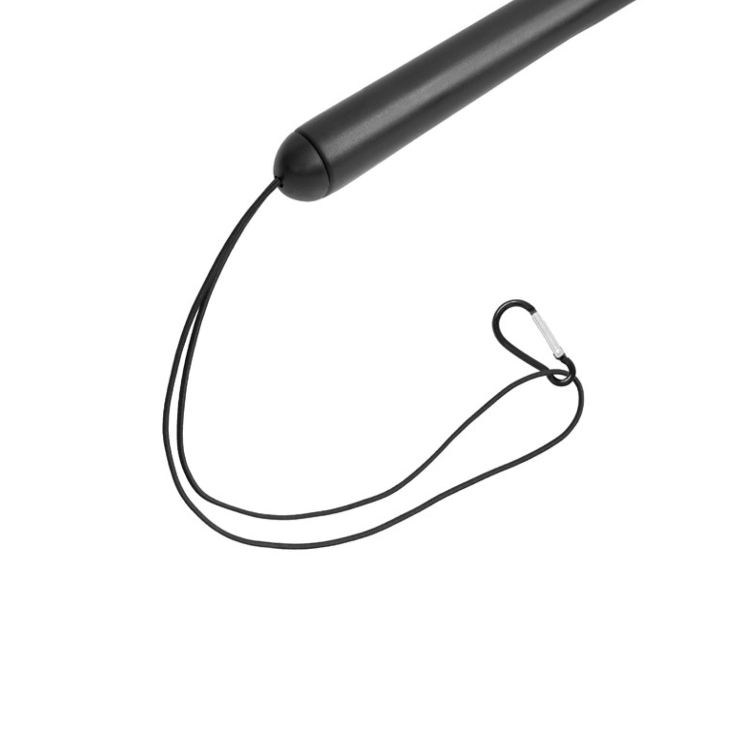 Delphin SHORX landing net safety cord and carabiner detail