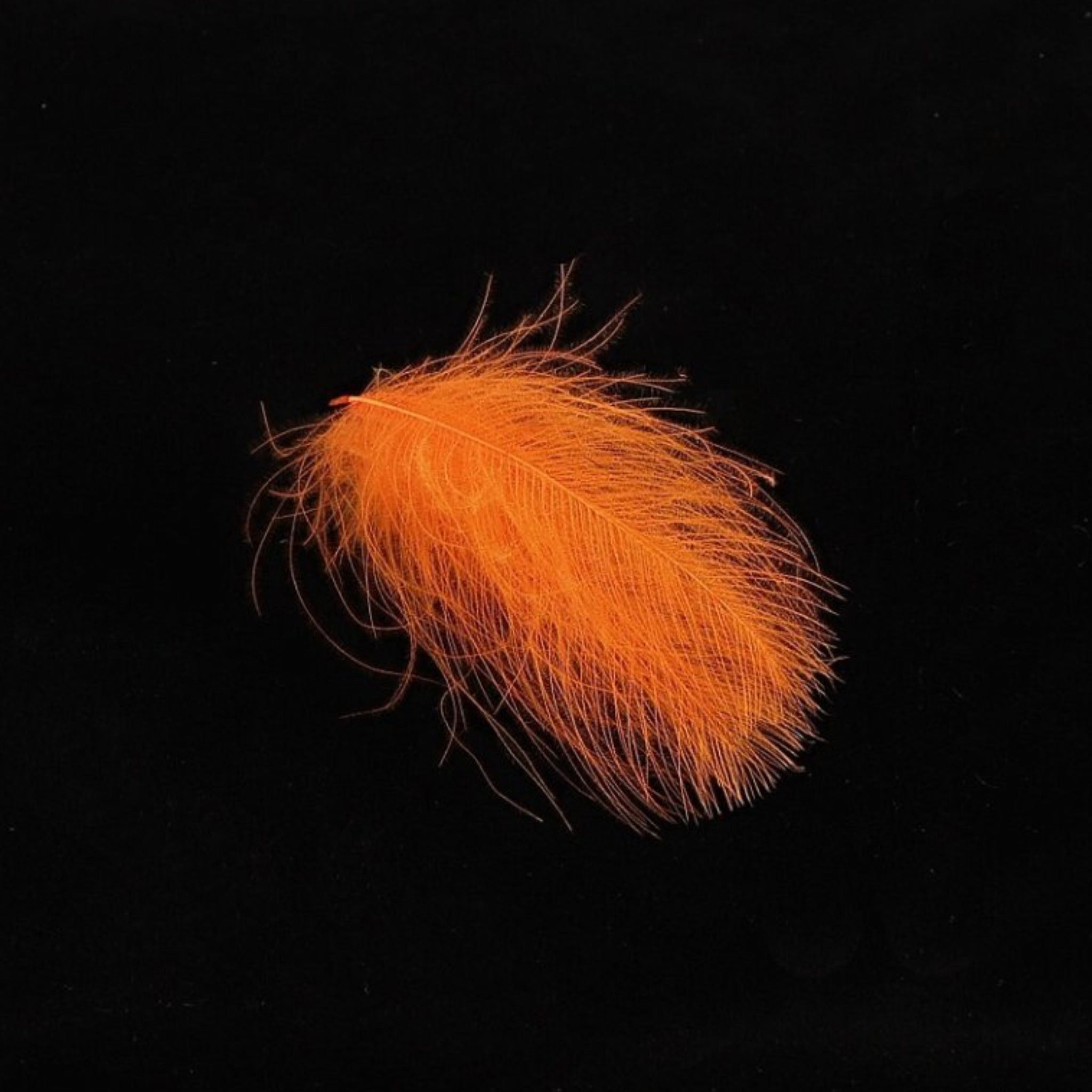 HENDS CDC – perie pre viazanie mušiek