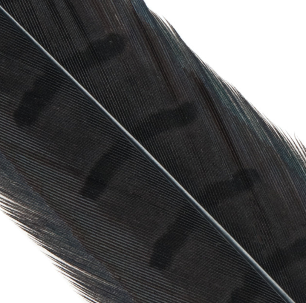 Hends pheasant tail feather – black (PT30) fly tying material