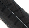 Hends pheasant tail feather – black (PT30) fly tying material