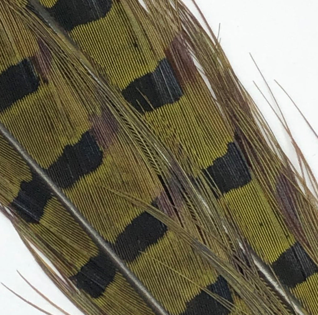 Hends pheasant tail feather – dark olive (PT32) fly tying material
