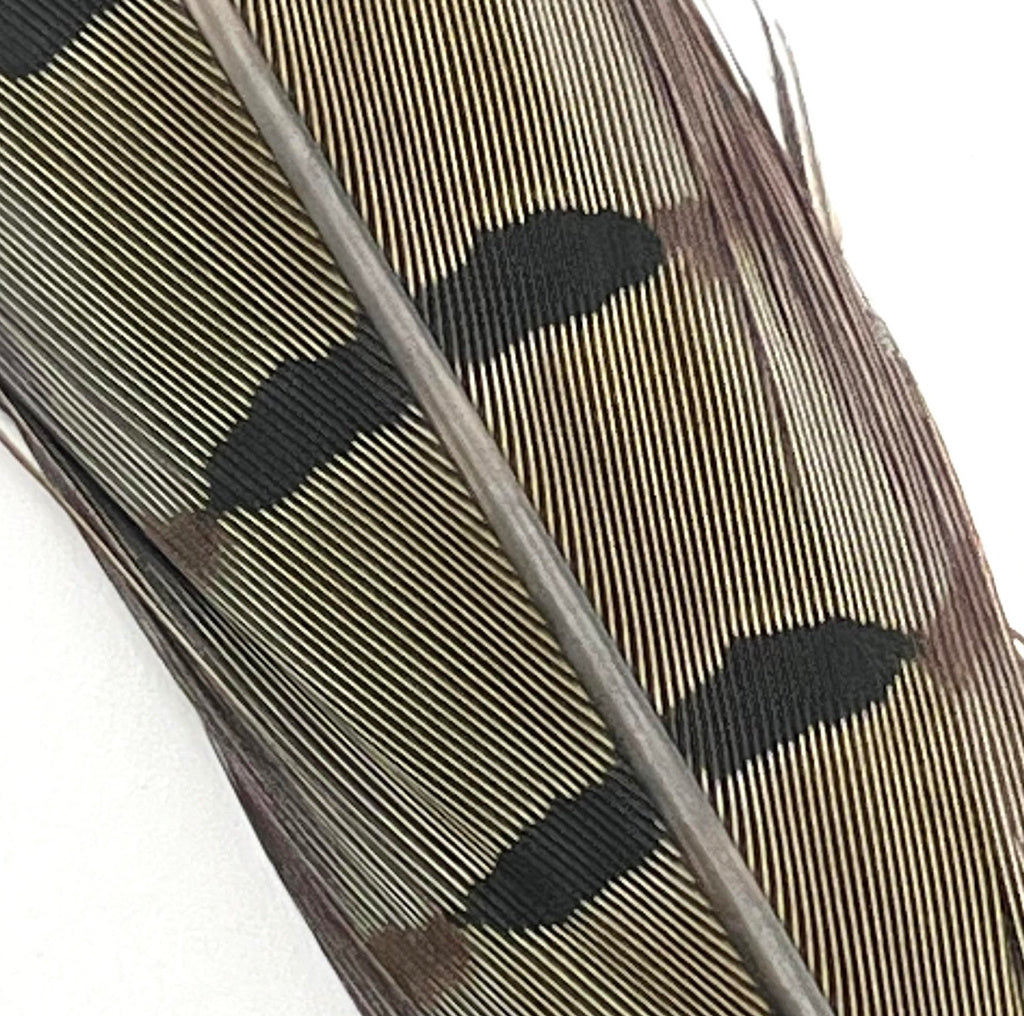 Hends pheasant tail feather – gray (PT15) fly tying material