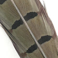 Hends pheasant tail feather – gray (PT15) fly tying material