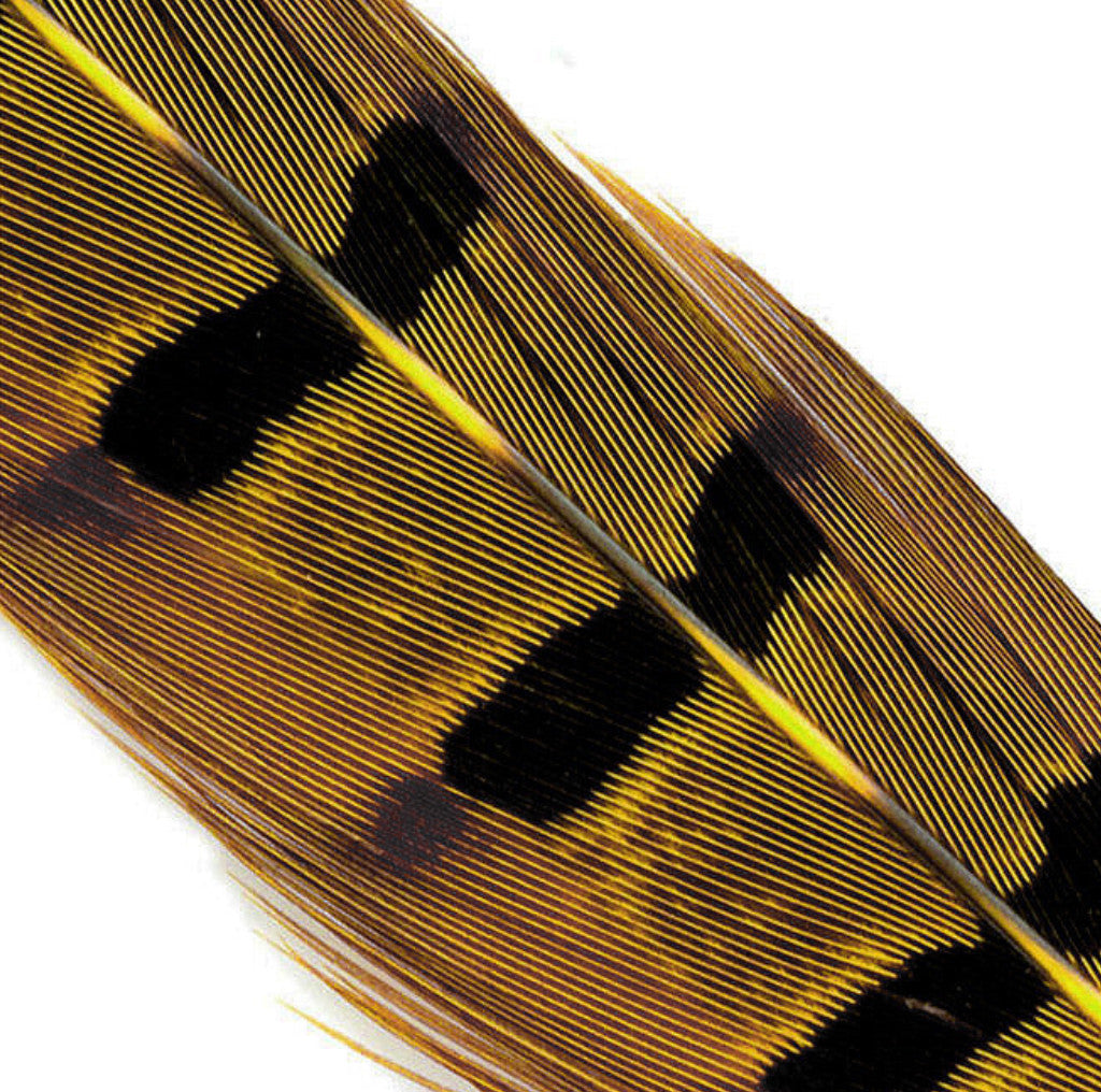 Hends pheasant tail feather – olive (PT28) fly tying material