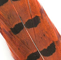 Hends pheasant tail feather – orange (PT02) fly tying material