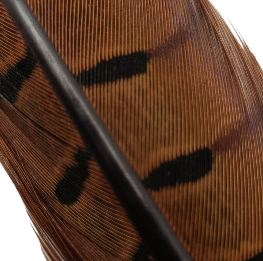 Hends pheasant tail feather – rusty (PT35) fly tying material