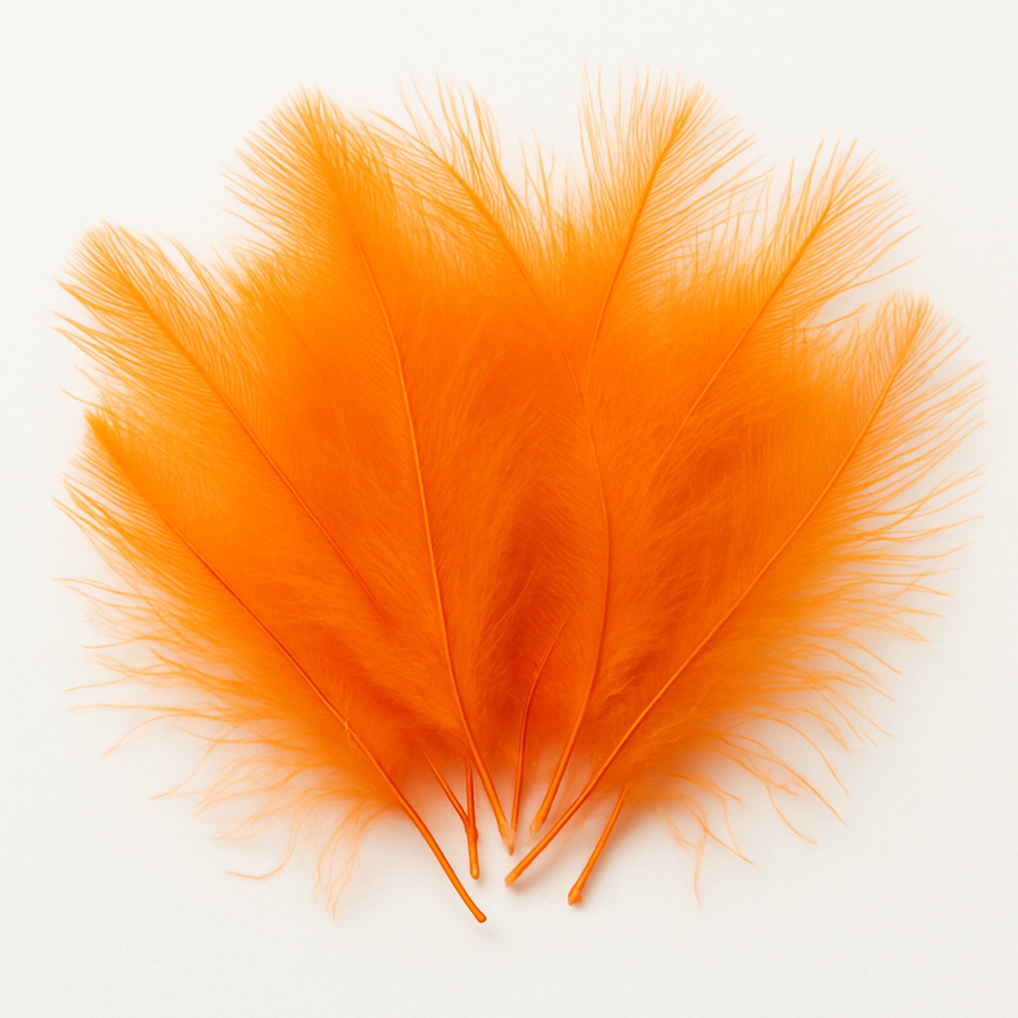 KNAPEK CDC – farebné perie pre viazanie mušiek