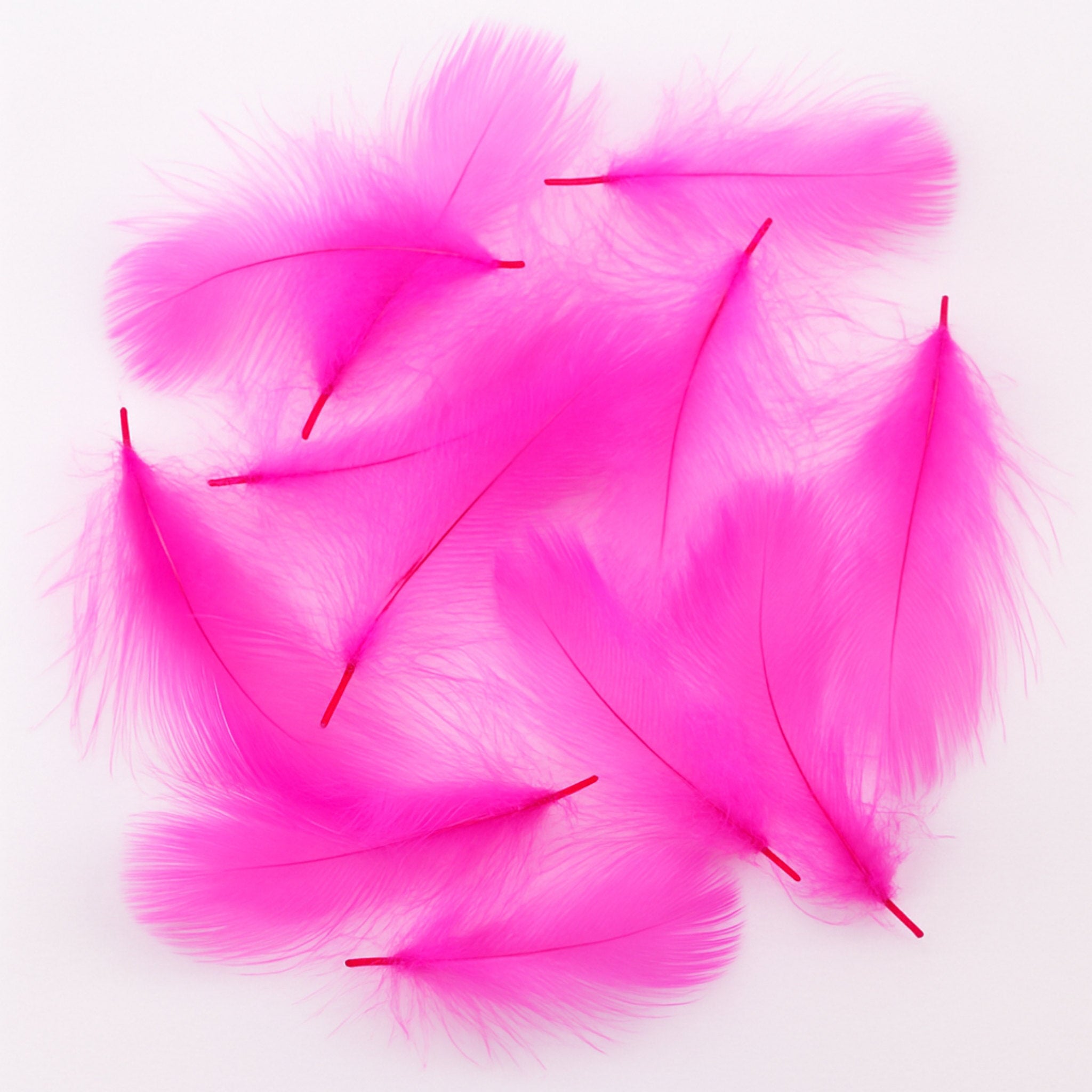 KNAPEK CDC – farebné perie pre viazanie mušiek