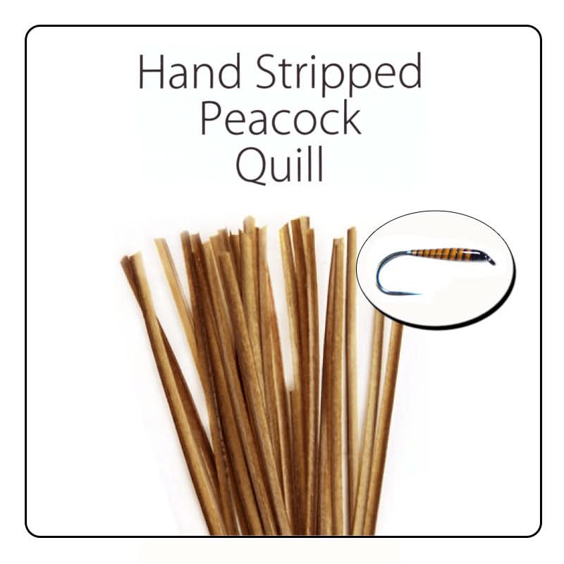 POLISH QUILLS – Ručne odierané pávie brčko