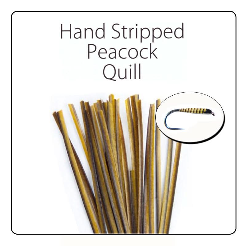 POLISH QUILLS – Ručne odierané pávie brčko