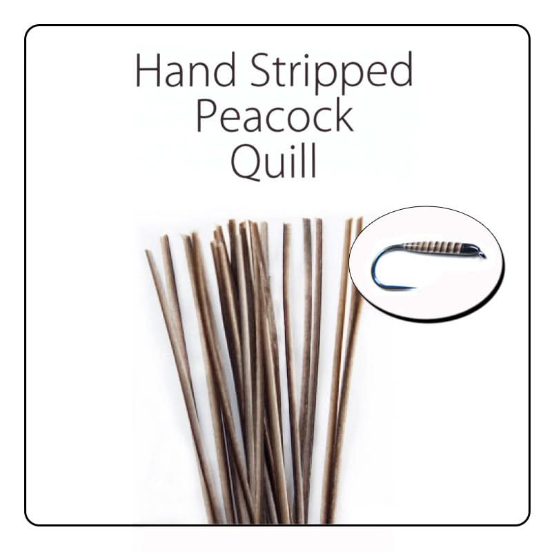 POLISH QUILLS – Ručne odierané pávie brčko