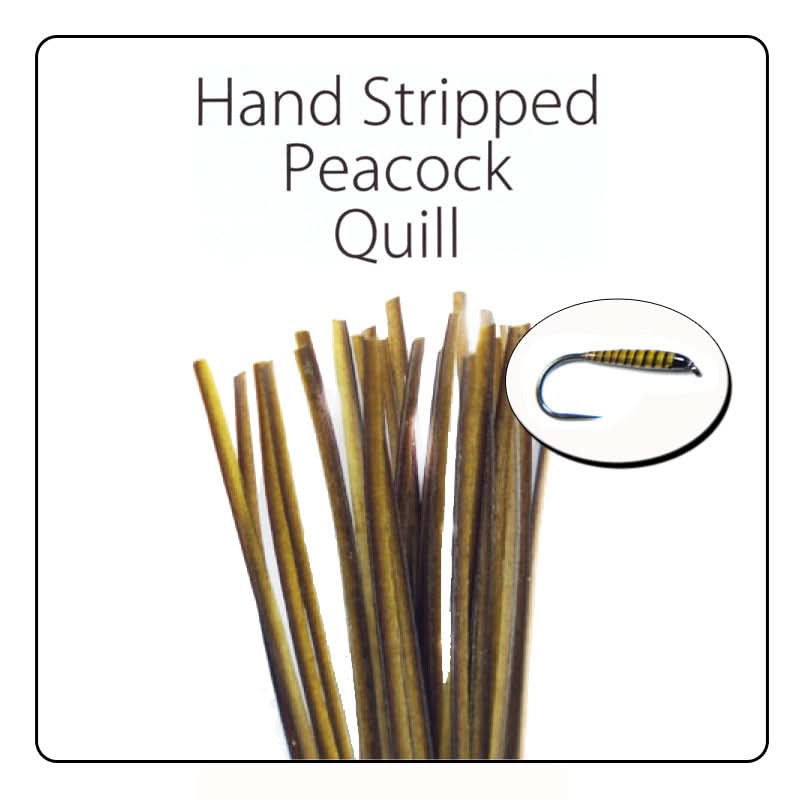 POLISH QUILLS – Ručne odierané pávie brčko