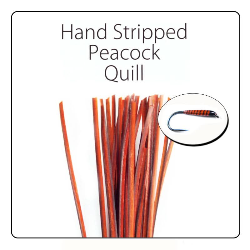 POLISH QUILLS – Ručne odierané pávie brčko