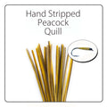 POLISH QUILLS – Ručne odierané pávie brčko