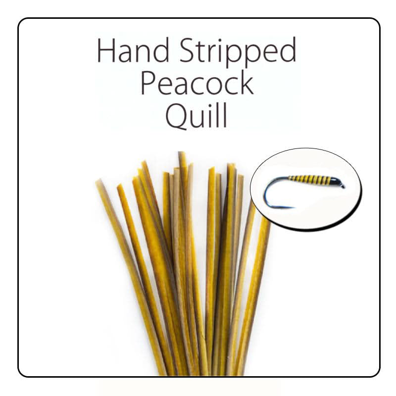 POLISH QUILLS – Ručne odierané pávie brčko