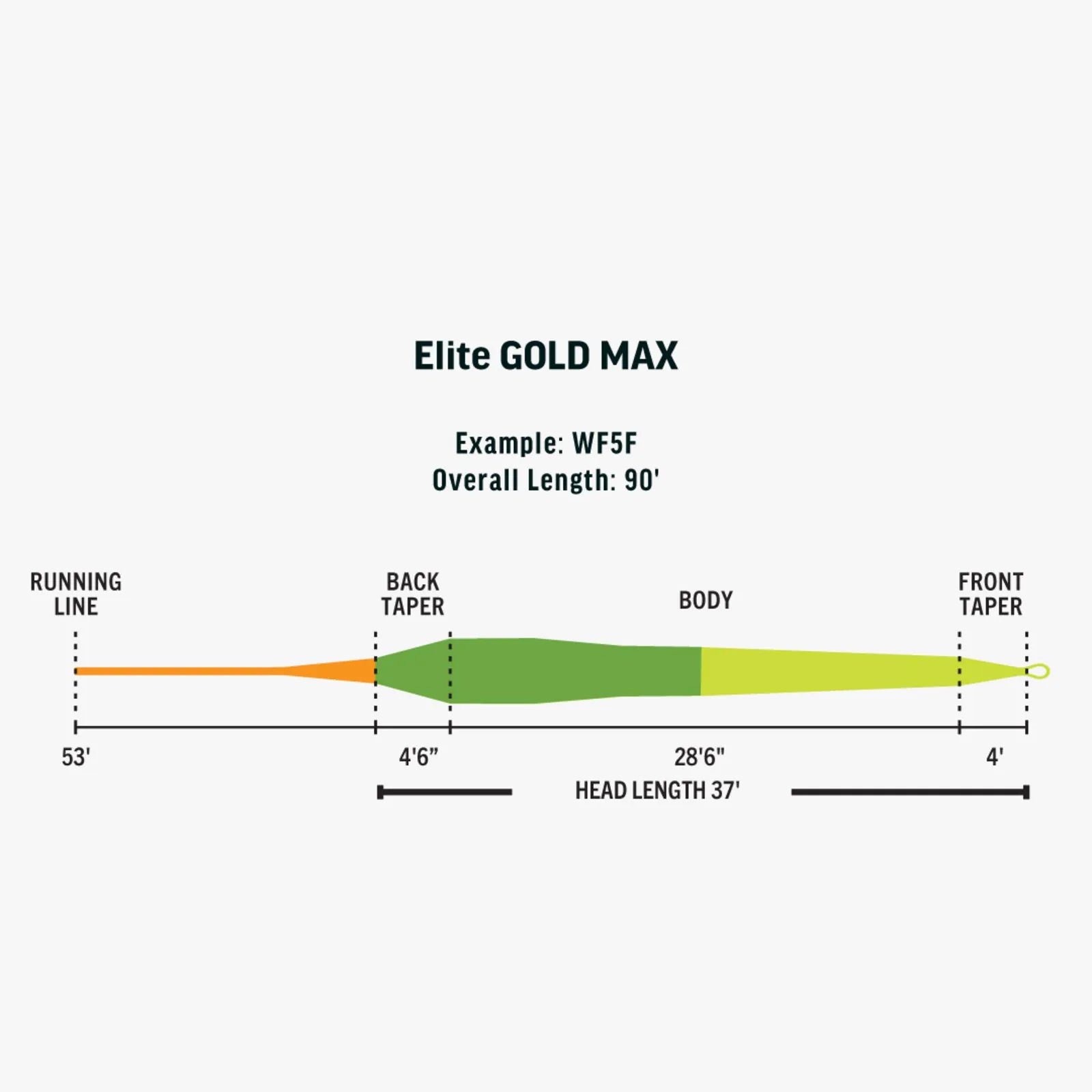 RIO Elite Gold Max floating fly line taper diagram