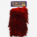 Whiting Farms American Hen Saddle – Grizzly Dyed Red