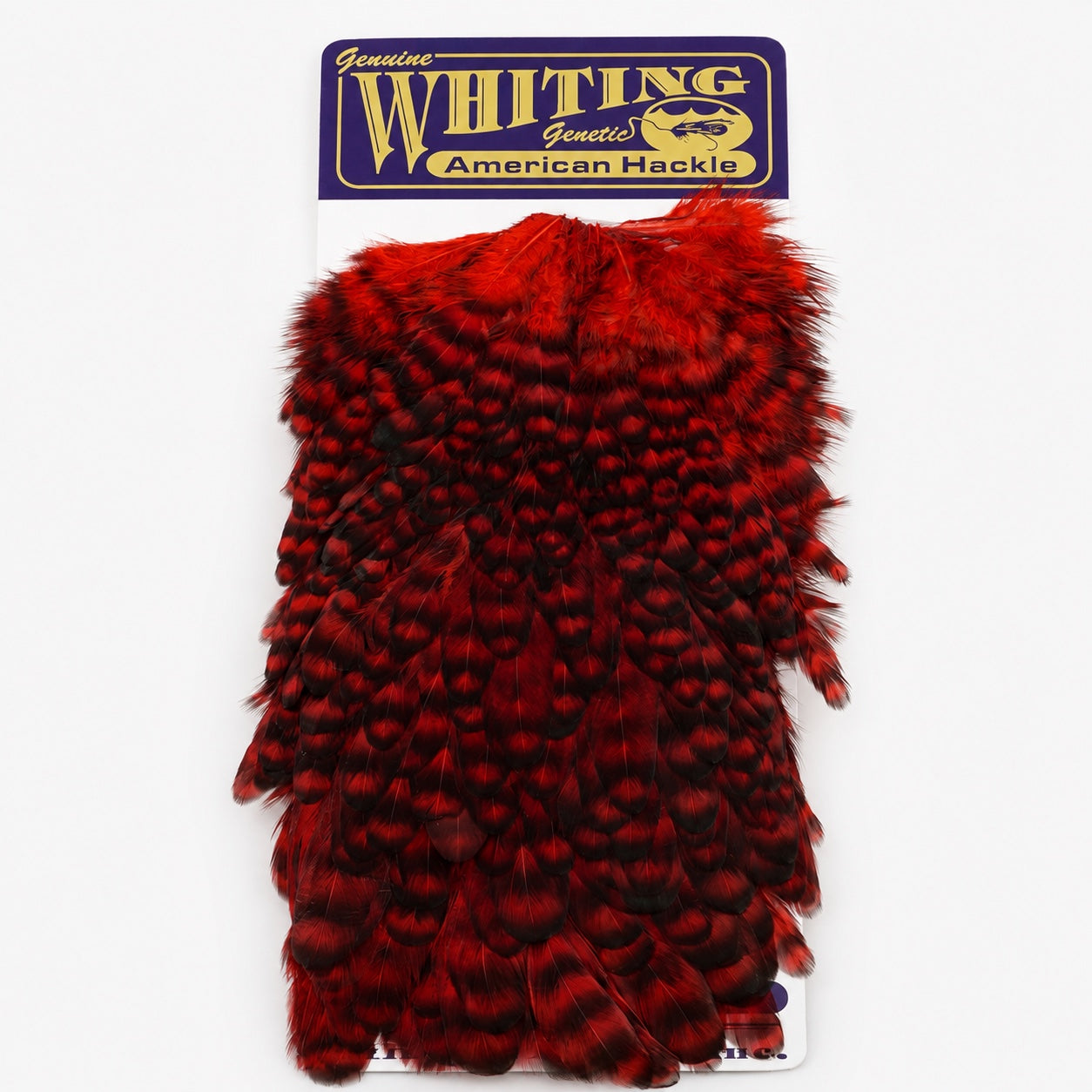 Whiting Farms American Hen Saddle – Grizzly Dyed Red