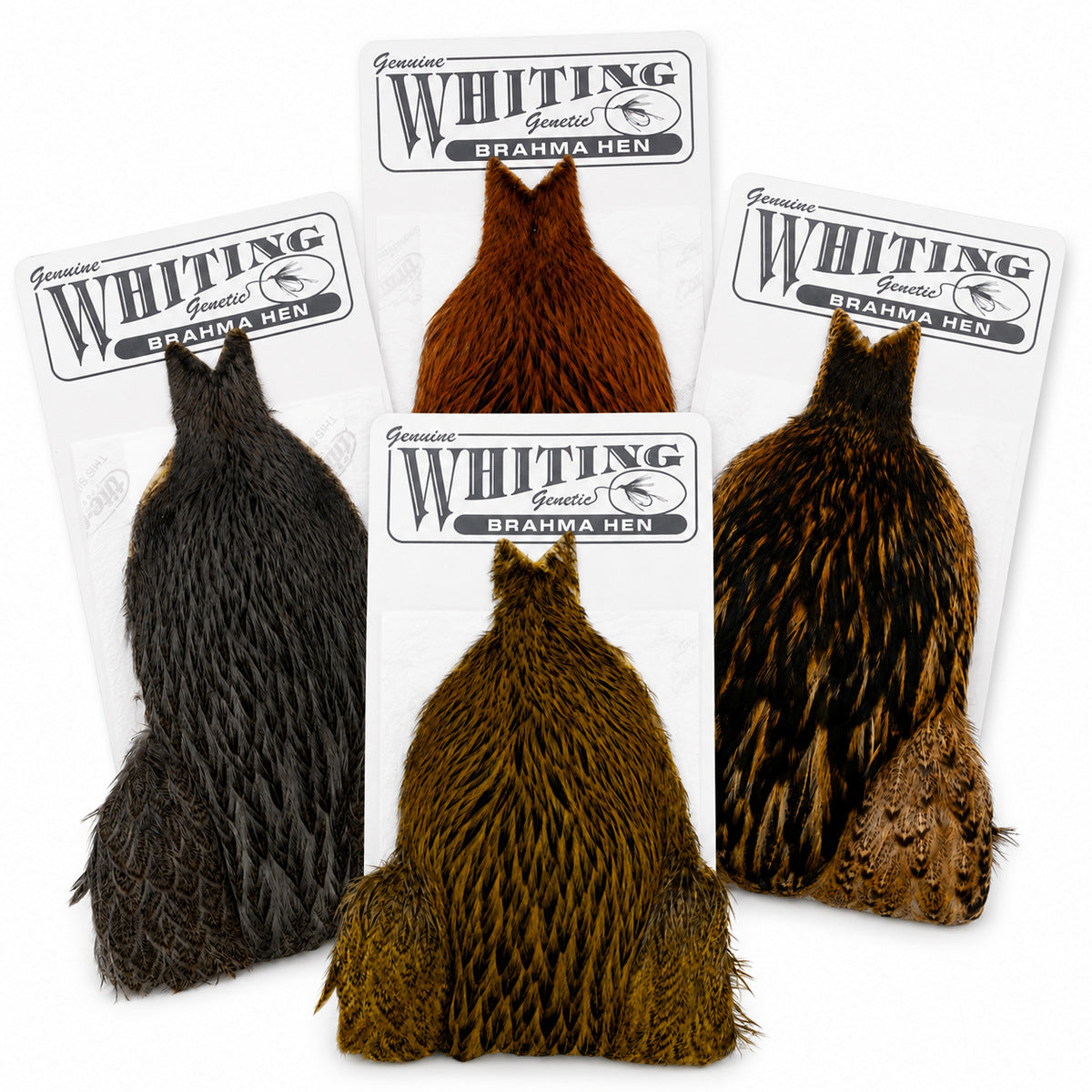 Whiting Farms Brahma Hen Cape – available colors