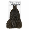 Whiting Farms Brahma Hen Cape – Dark Dun