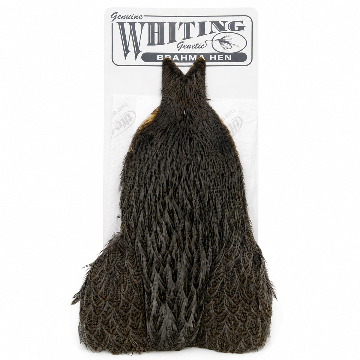 Whiting Farms Brahma Hen Cape – Dark Dun