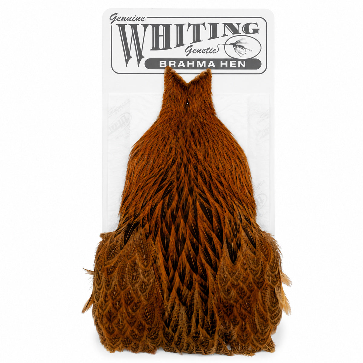 Whiting Farms Brahma Hen Cape – Golden Brown