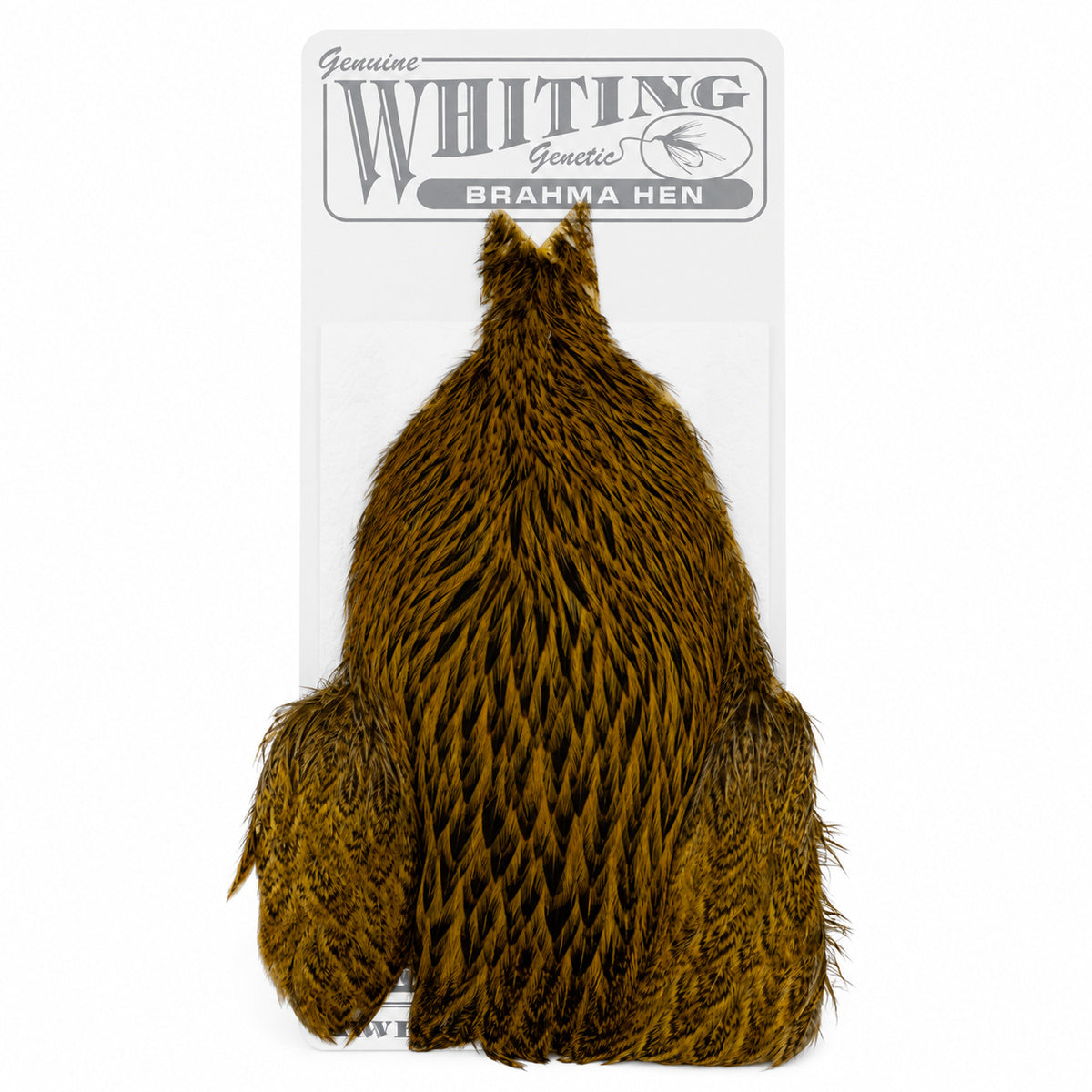 Whiting Farms Brahma Hen Cape – Golden Olive