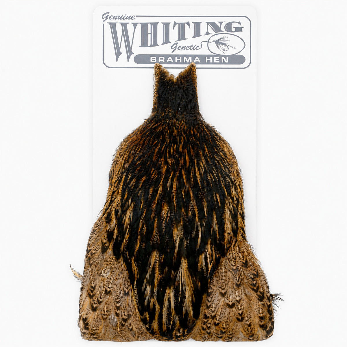 Whiting Farms Brahma Hen Cape – March Brown
