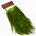 Whiting Farms Coq de Leon Silver Saddle Grizzly Dyed Fluorescent Green Chartreuse feathers