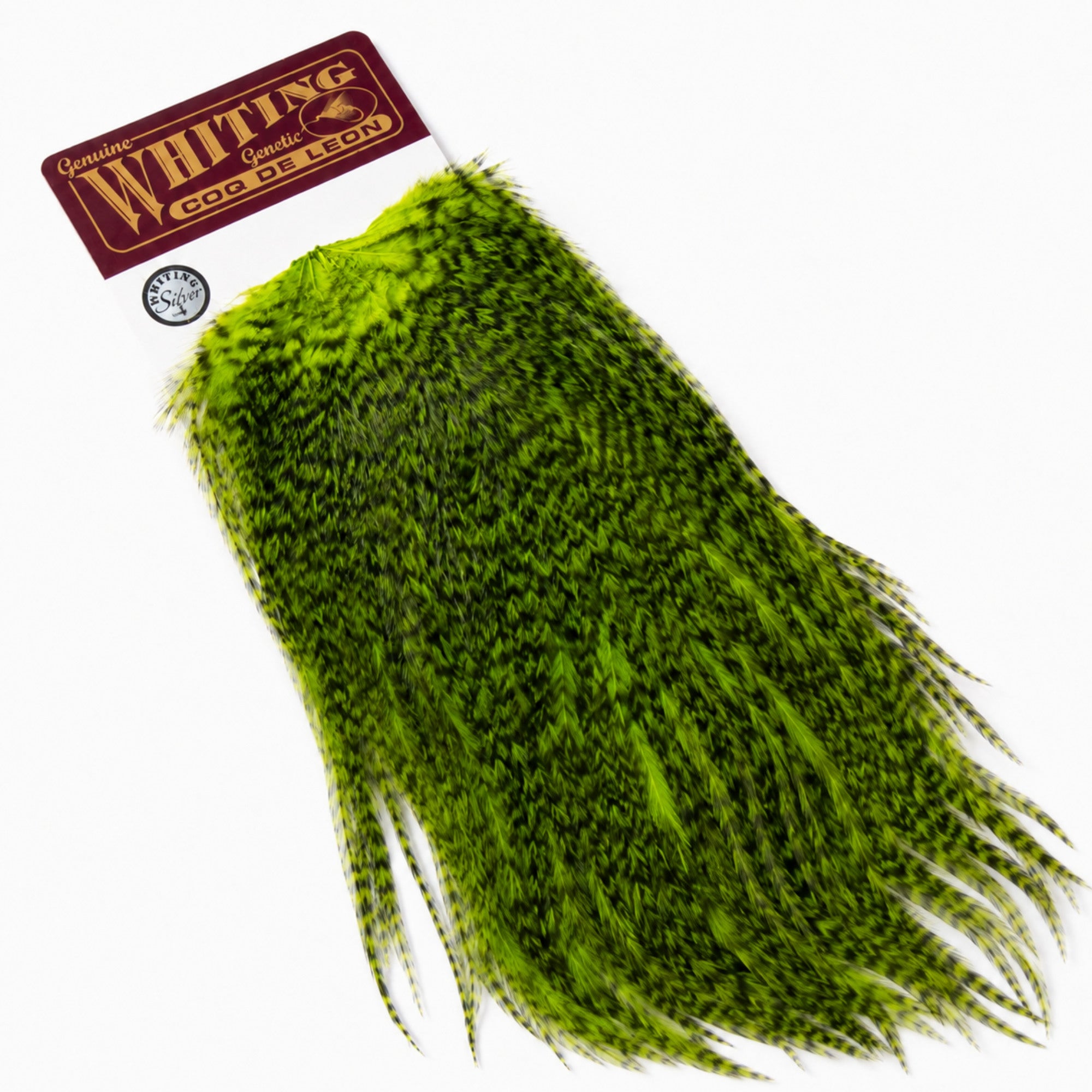Whiting Farms Coq de Leon Silver Saddle Grizzly Dyed Fluorescent Green Chartreuse feathers