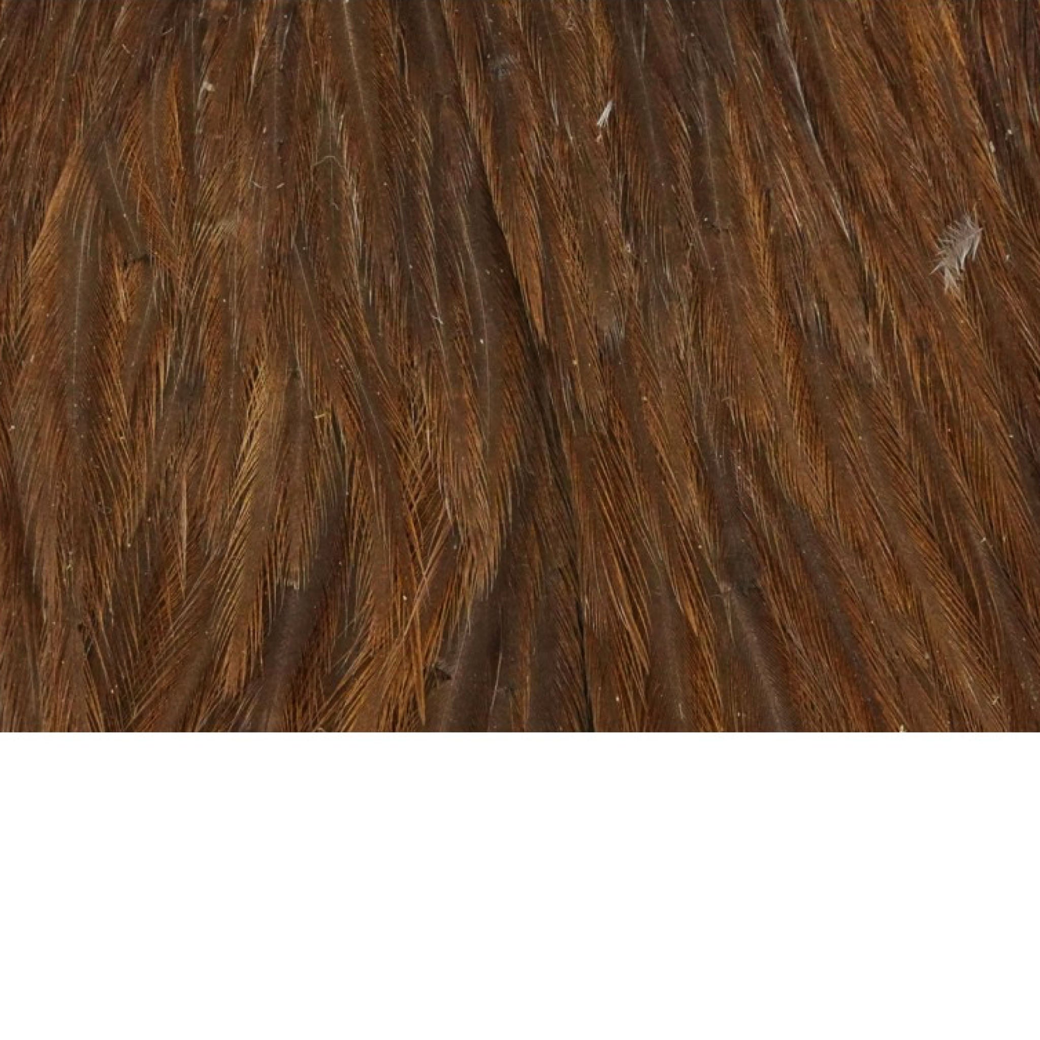 WHITING Hebert Hen Cape – slepačí skalp pre viazanie mušiek