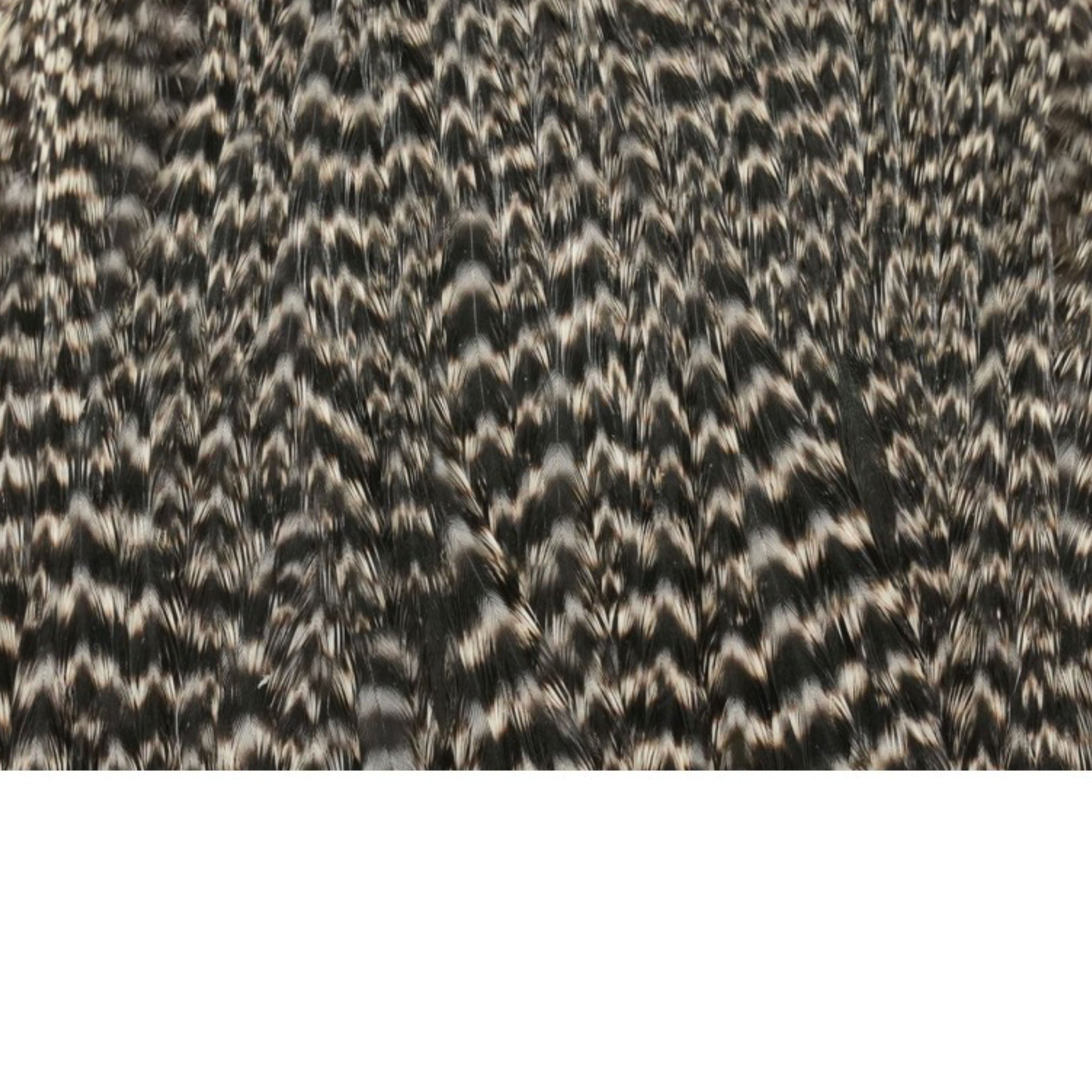 WHITING Hebert Hen Cape – slepačí skalp pre viazanie mušiek