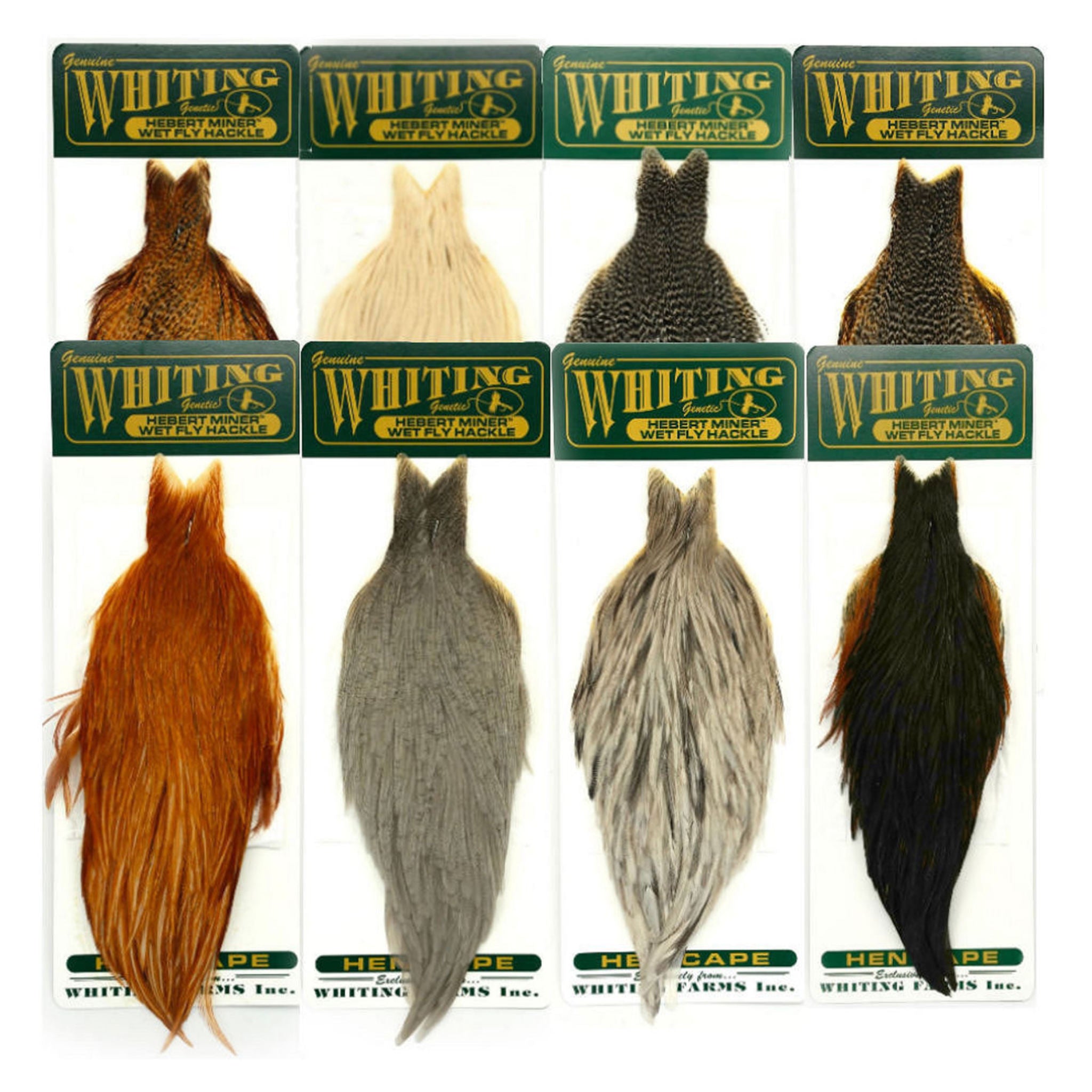 WHITING Hebert Hen Cape – slepačí skalp pre viazanie mušiek