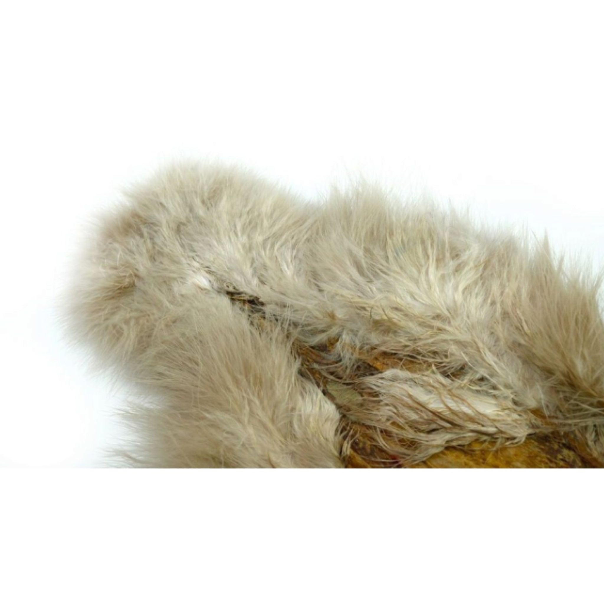 WHITING Spey SH/C – moriakové perie pre viazanie mušiek